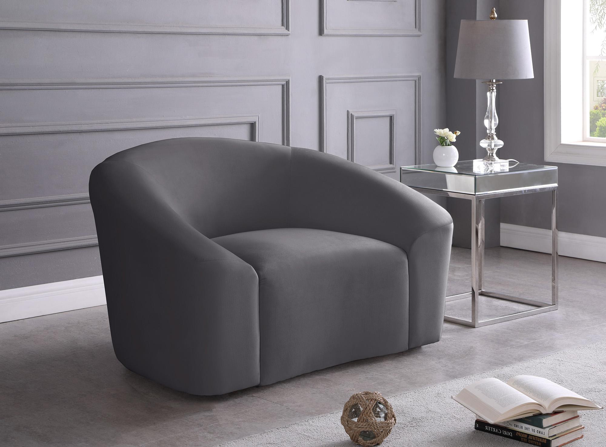 

        
Meridian Furniture RILEY 610Grey-C-Set-2 Arm Chair Set Gray Velvet 704831408805
