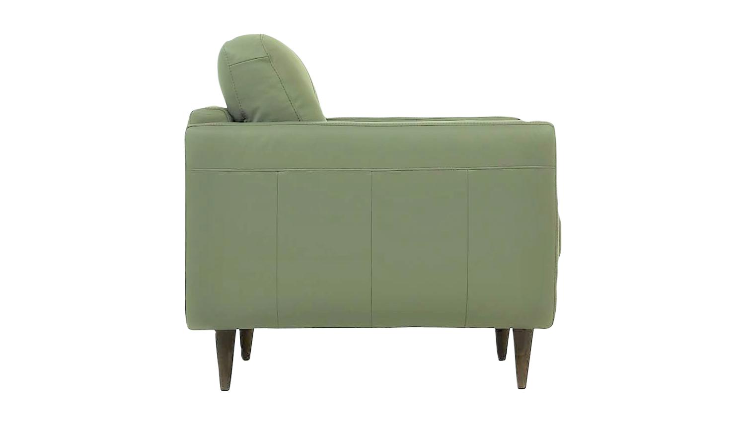 

    
Acme Furniture Radwan Chair Spring green 54962
